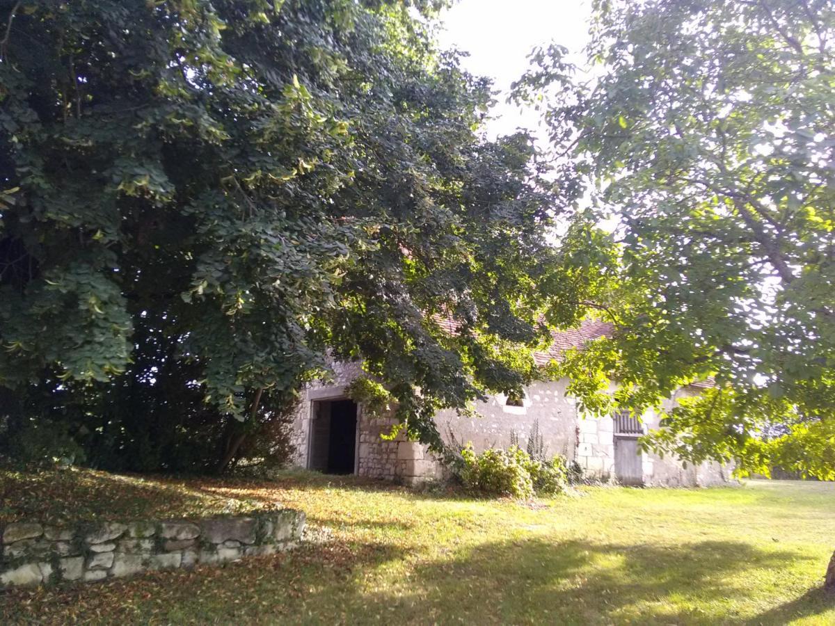 La Berrycurienne Proche Du Zoo De Beauval Saint-Aignan Avec Sdb, Wc Et Spa Privatif Pour Chaque Chambre Luçay-le-Mâle Exteriör bild