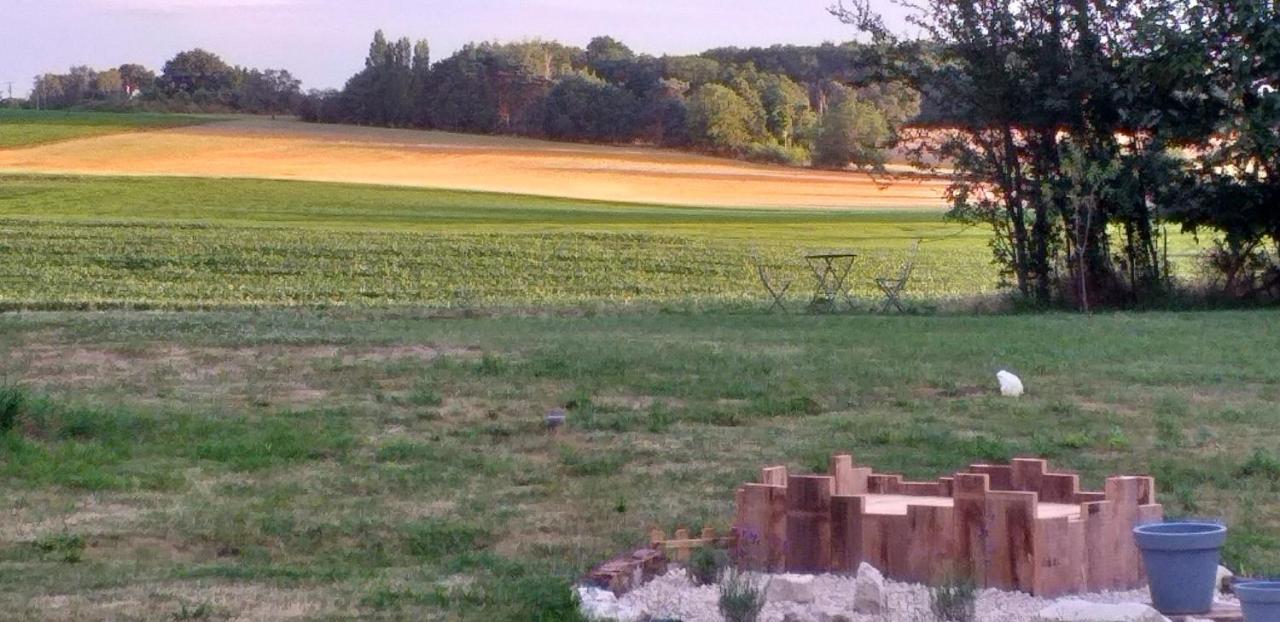 La Berrycurienne Proche Du Zoo De Beauval Saint-Aignan Avec Sdb, Wc Et Spa Privatif Pour Chaque Chambre Luçay-le-Mâle Exteriör bild
